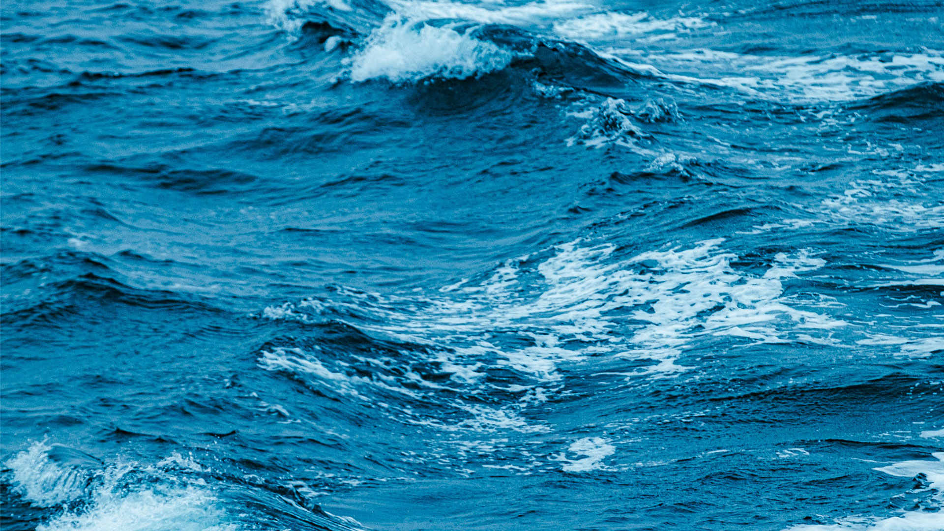 wave25_1920x1980