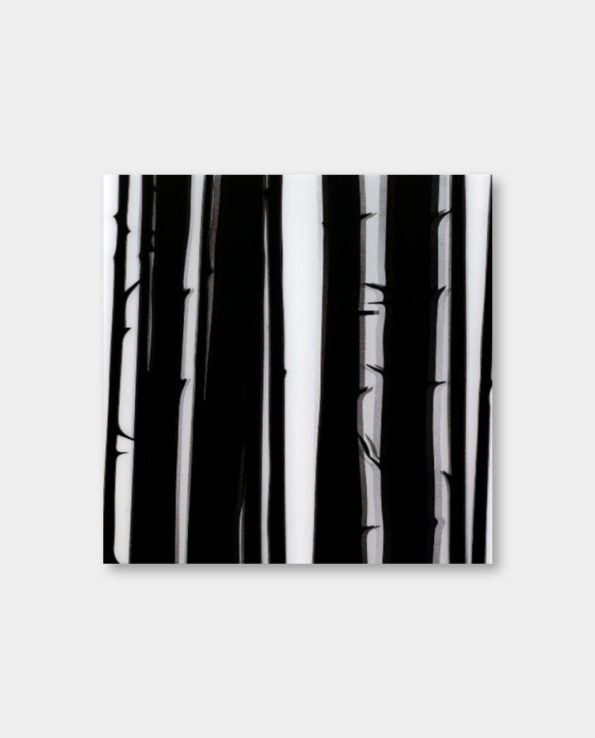 / 줄리안 오피 / Forest (액자포함)