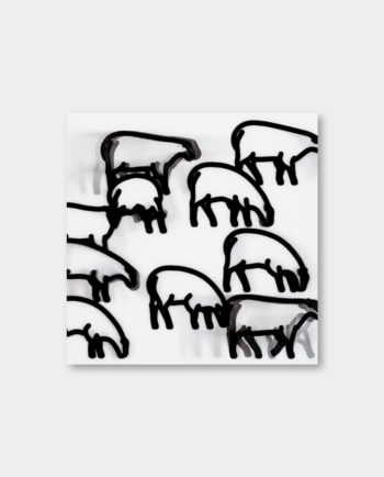 sheep_th