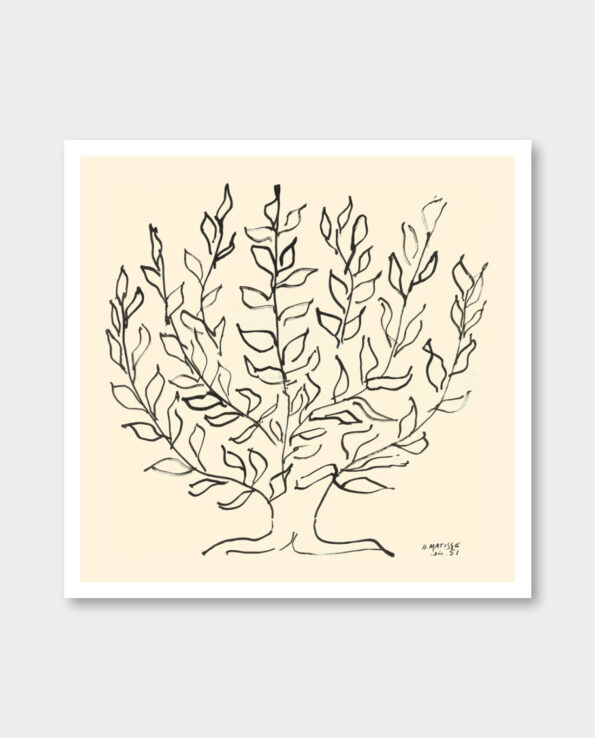 / 앙리 마티스 / Le Platane, 1951 (액자포함)